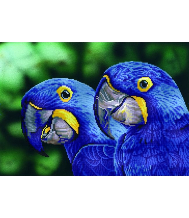 Diamond Dotz - Blue Hyacinth Macaws
