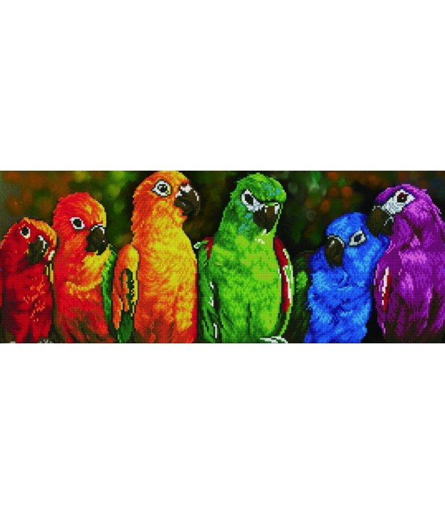 Diamond Dotz - Rainbow Parrots (19)
