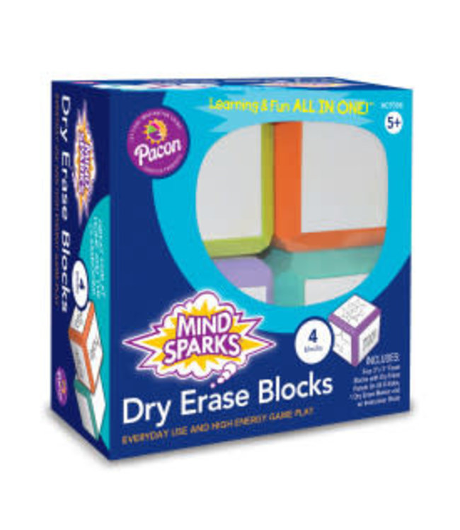 WRITE ON- WIPE OFF BLOCK GAME 4CT
