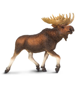 Safari Ltd Moose