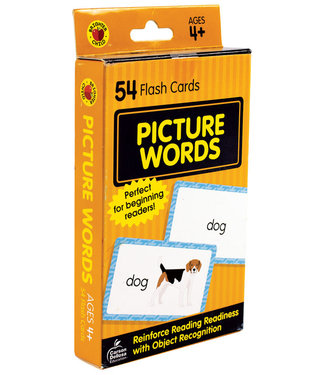 Carson Dellosa Picture Words Flash Cards, Ages 4+