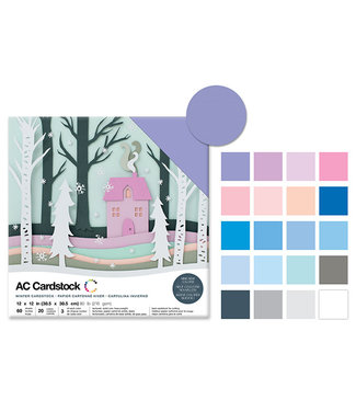 AC Cardstock Scrapbook Cardstock: 12"x12 Textured-Winter