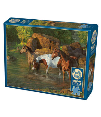 Cobble Hill Horse Pond