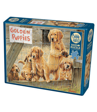 Cobble Hill Golden Puppies