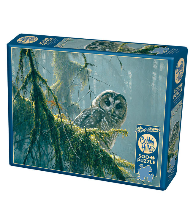 Mossy Branches - Spotted Owl