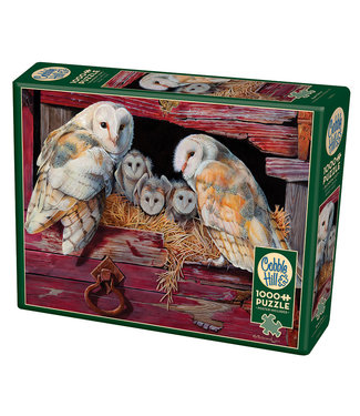 Cobble Hill Barn Owls