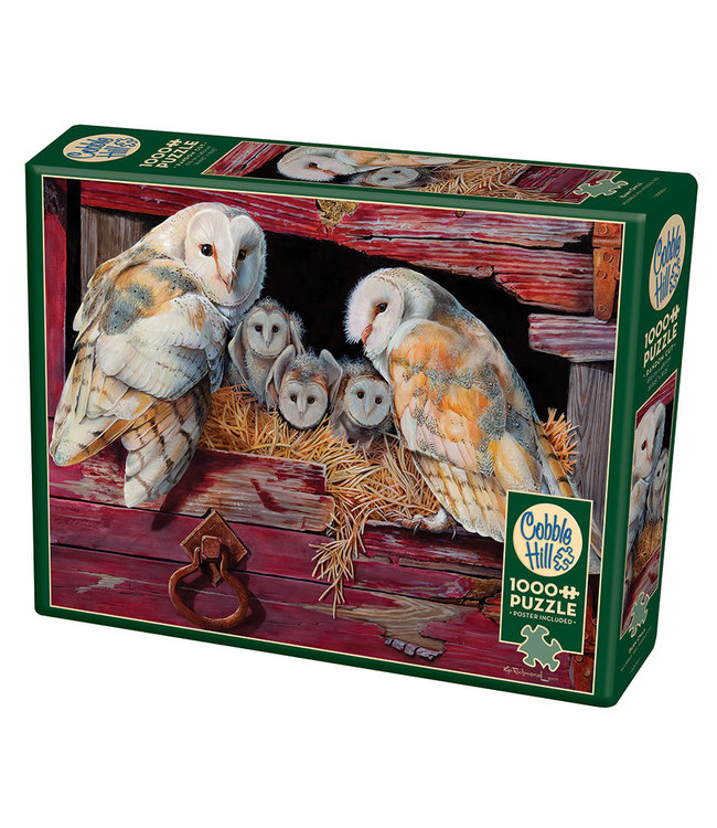 Barn Owls