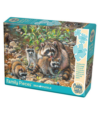 Cobble Hill Raccoon Family (Family)