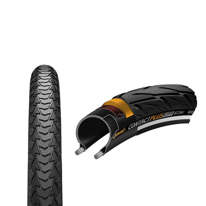 ベース Conti 356_7PK2035.jpg