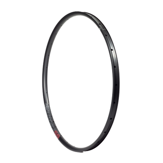 Velocity Blunt SS 29" Rim