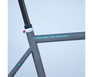DILE003 STICKERS DECALS DILECTA vélo bike bicycle