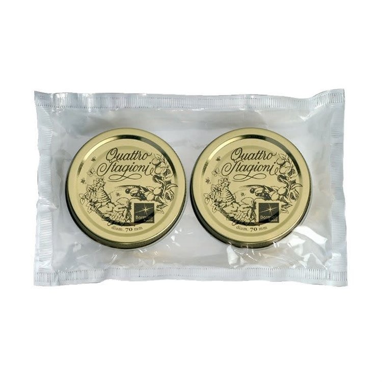 Regular Mouth Canning Lids, Set of 2