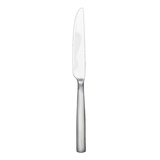 Simple Stainless Steel Dinner Knife - Whisk