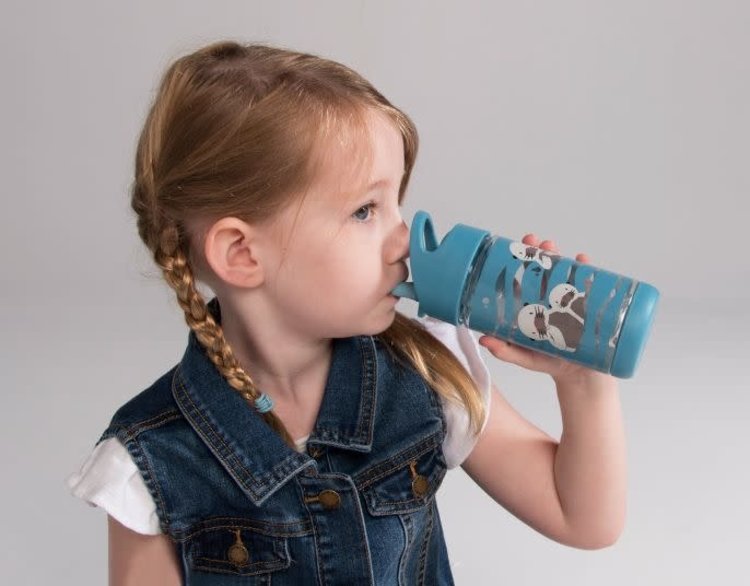 Otter Water Bottle