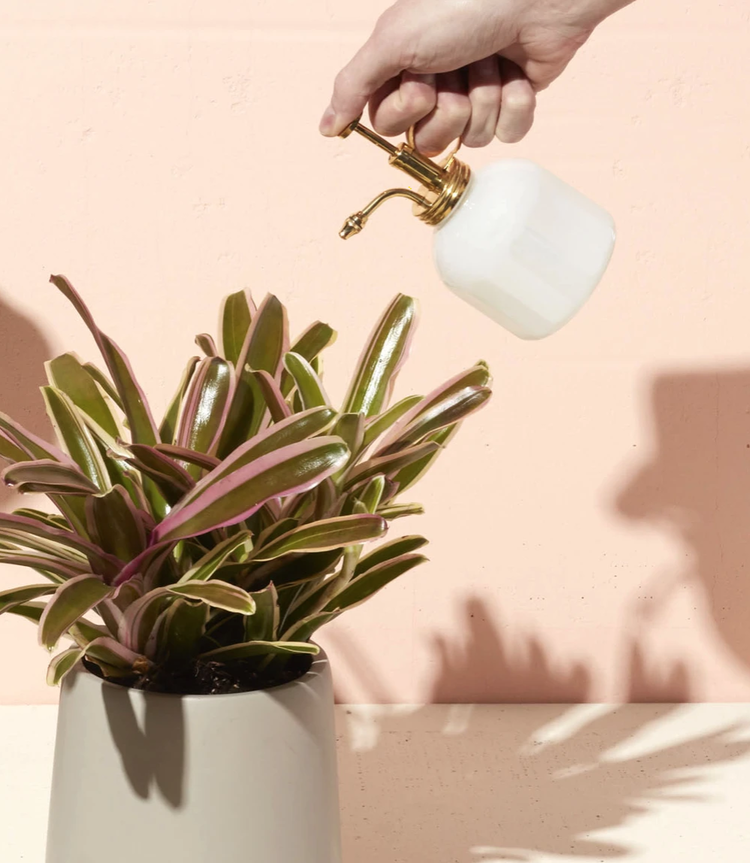 Milk Glass Plant Mister