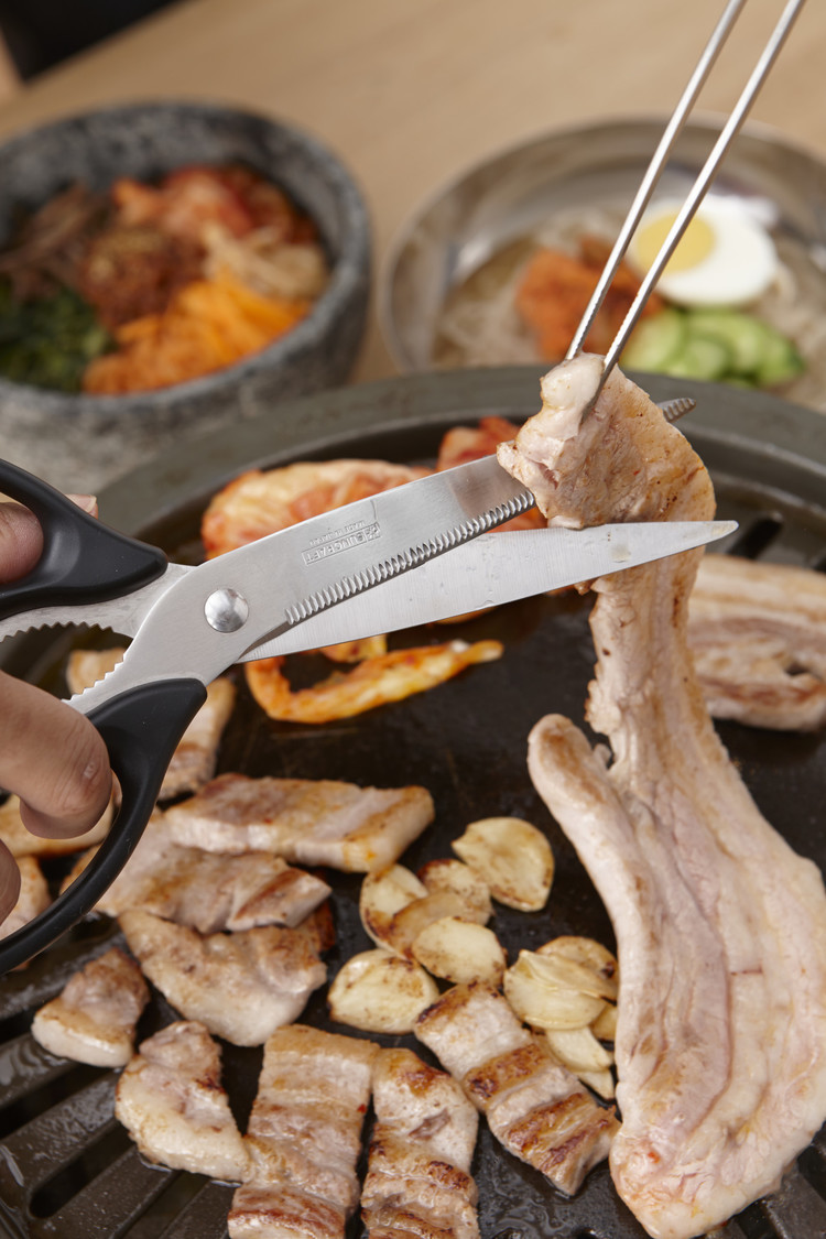 Long Japanese Shears