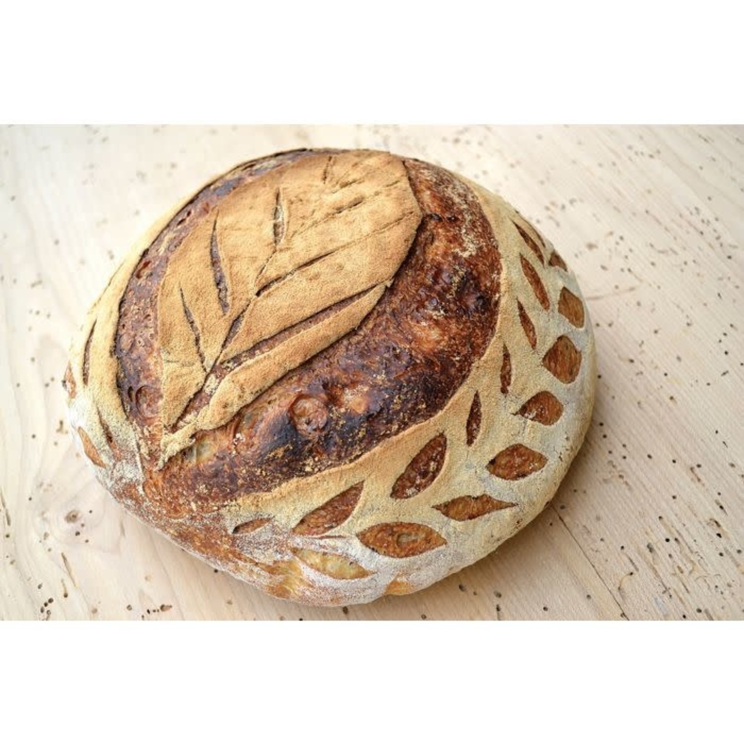 ORBLUE Bread Lame, Dough Scoring Tool for Artisan Bread, 12 Blades Inc –  Orblue