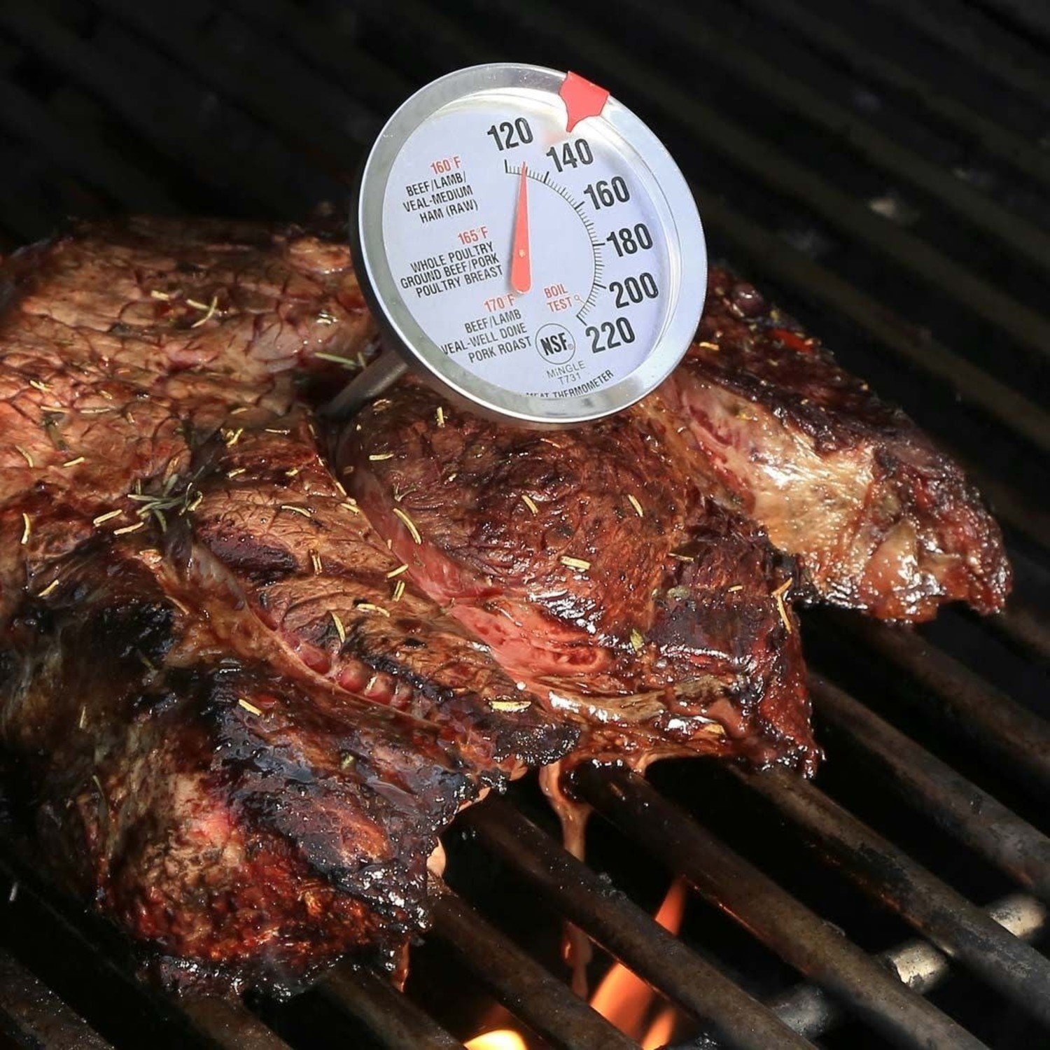 Dial Meat Thermometer - Whisk