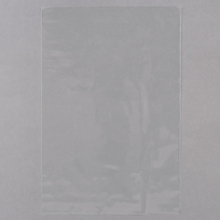 4x6" Treat Bags, set of 100