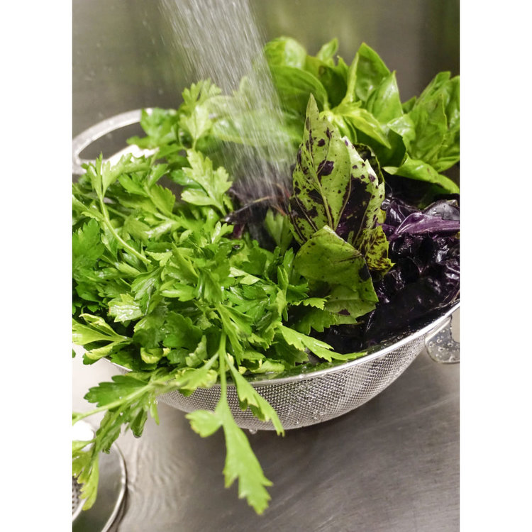 4 quart Mesh Colander