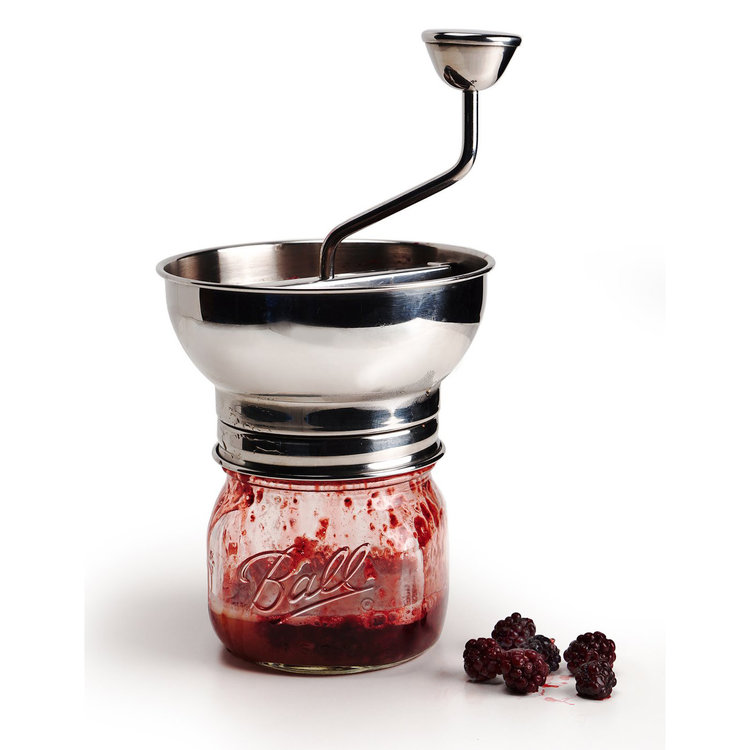 mini food mill, attach to wide mouth Whisk