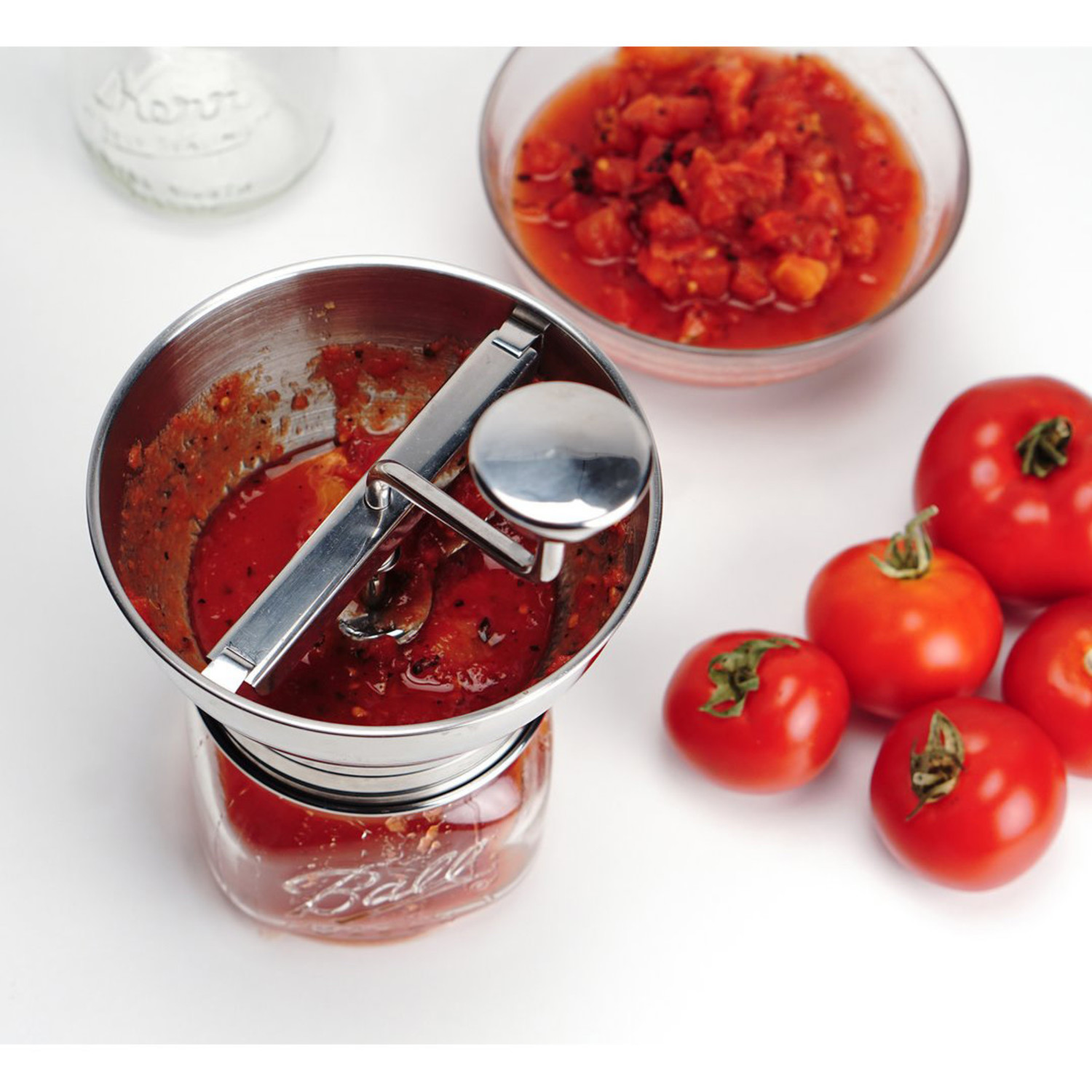 mini food mill, attach to wide mouth Whisk