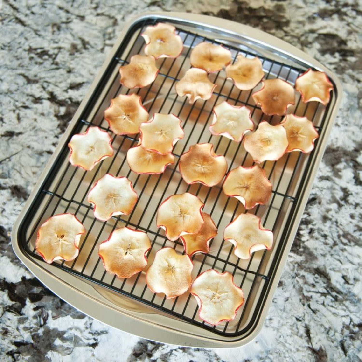 baking tray with carbon steel rack, 15.6x11.6 - Whisk