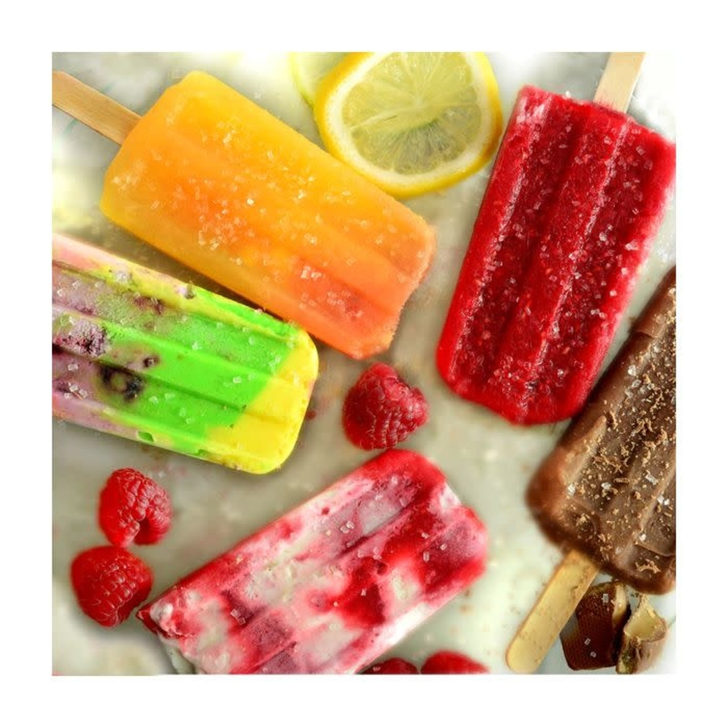 NEW Tovolo Set of 4 Twin Pop Molds - Create Healthy Frozen Treats Popsicles