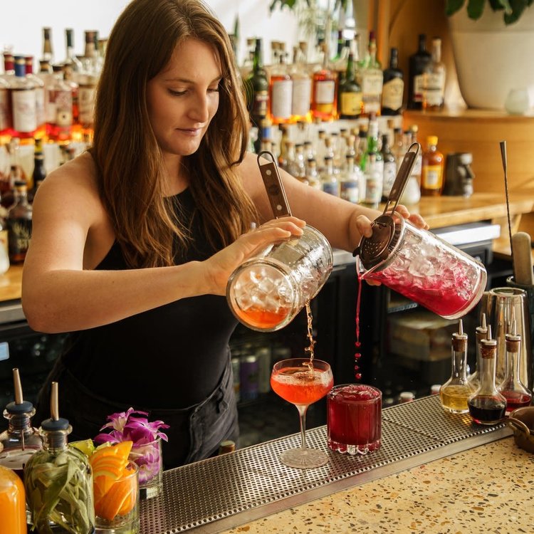 Hawthorne Cocktail Strainer with Wood Handle