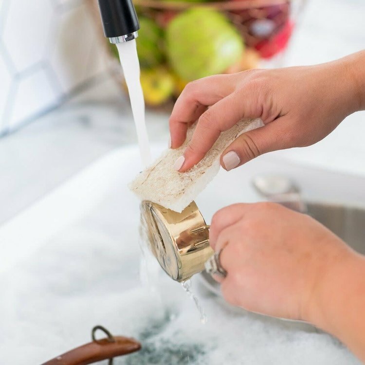 Heavy Duty Coconut Sponges with Scour Pads, set of 2