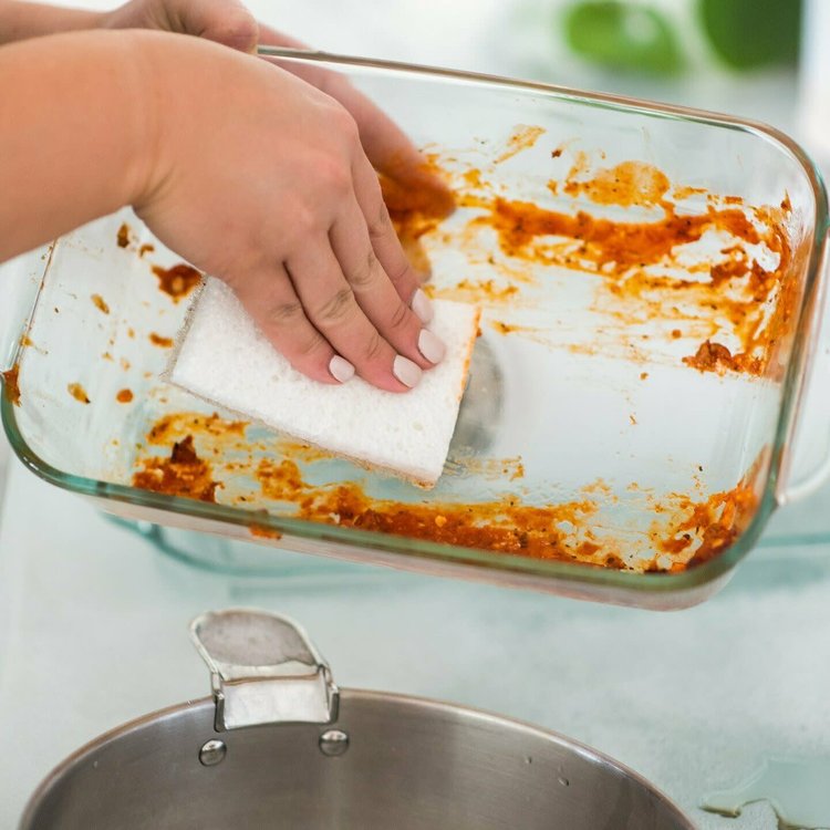 Heavy Duty Coconut Sponges with Scour Pads, set of 2