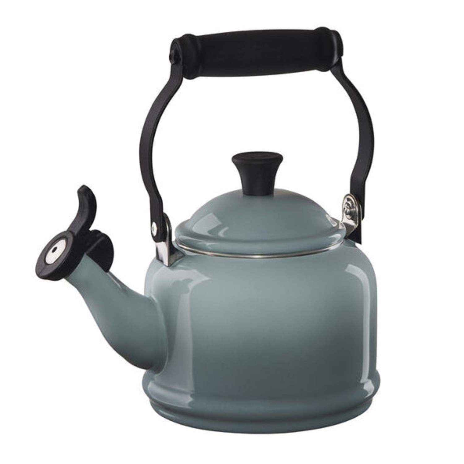 tea kettle, 1.25qt sea salt - Whisk