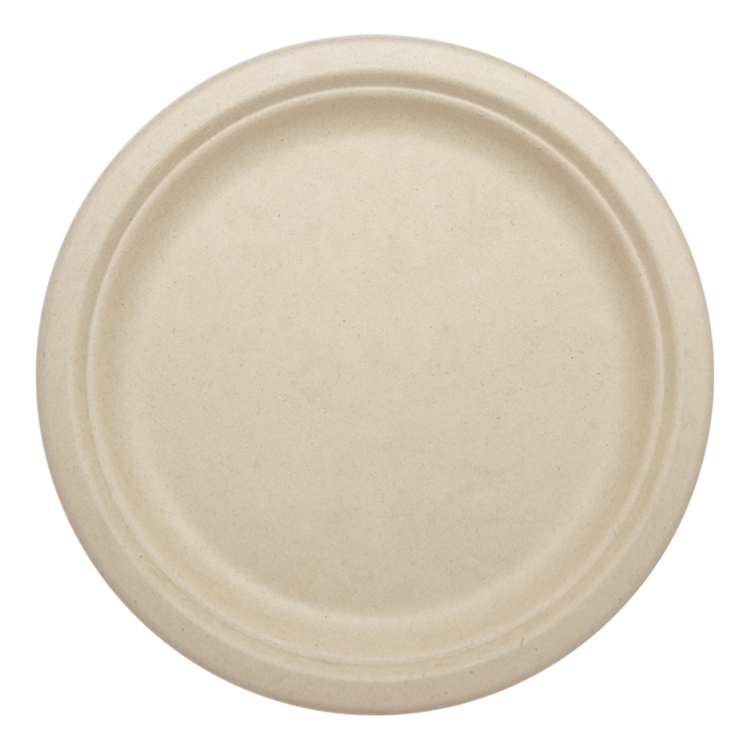 9" Compostable Plates, set of 50