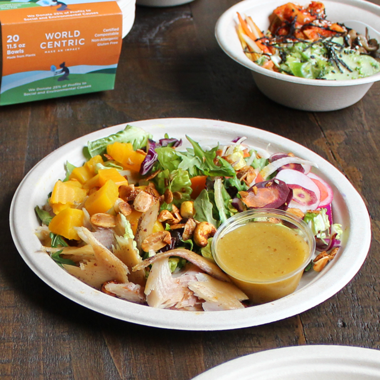 9" Compostable Plates, set of 50