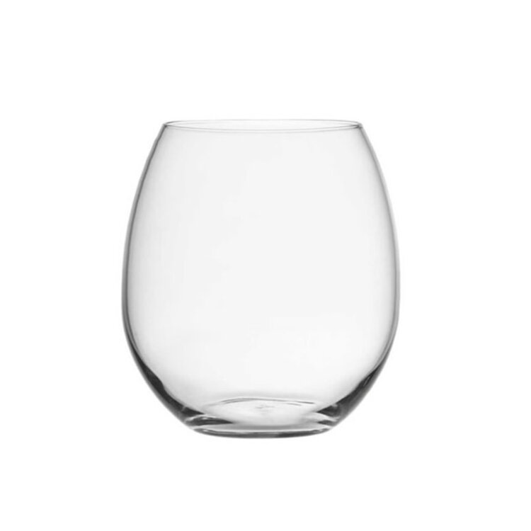 Plastic Stemless Wine Glass