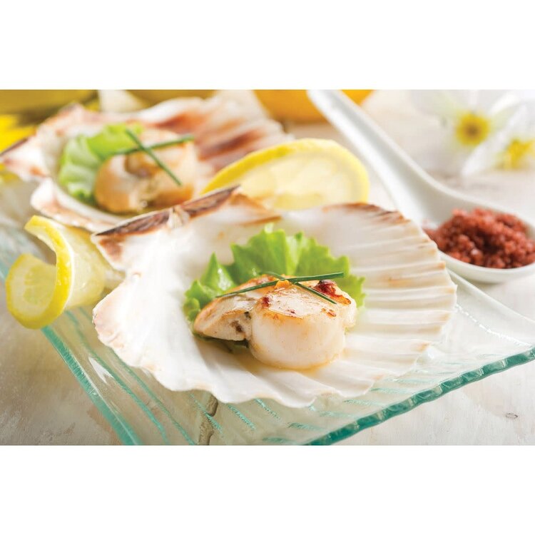 Baking Shells, set of 4