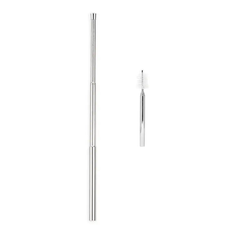 Stainless Steel Straw & Brush Travel Set