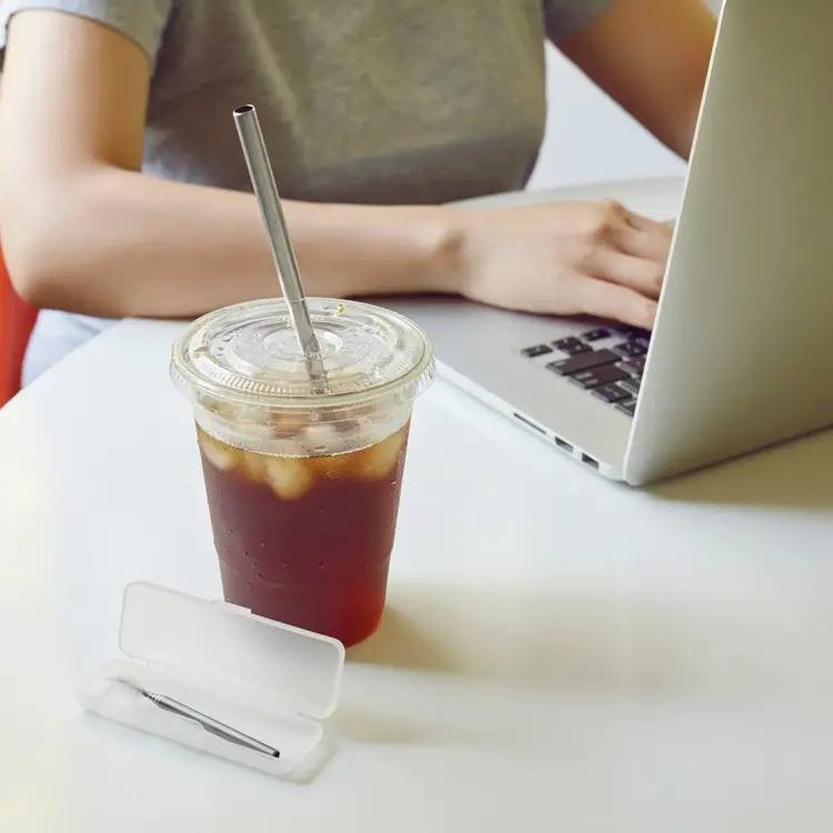 Stainless Steel Straw & Brush Travel Set