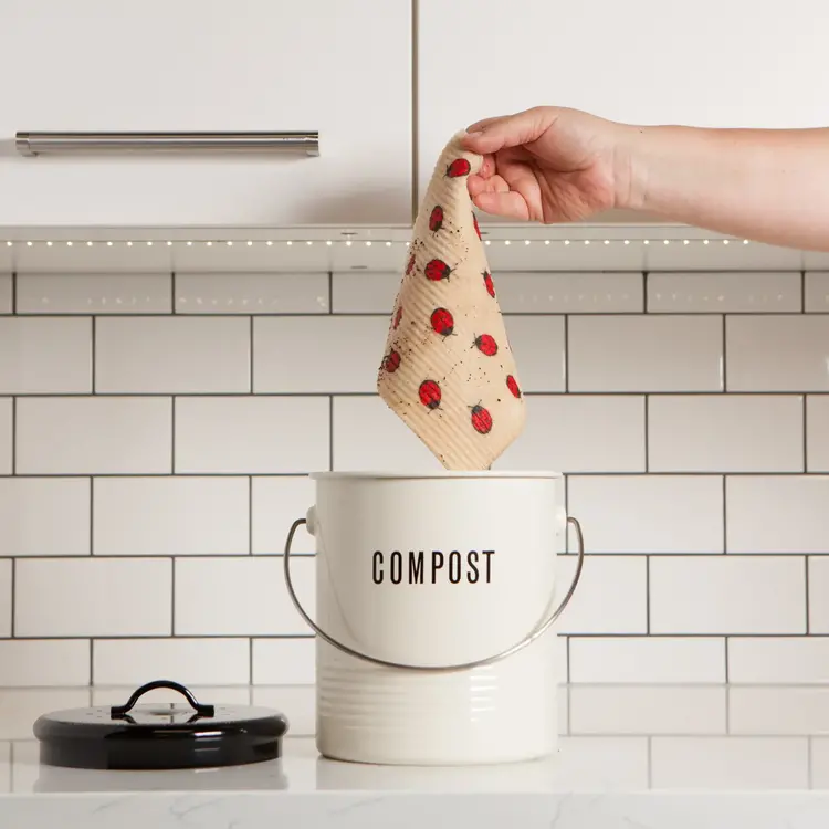 Ladybug Cellulose Dishcloth