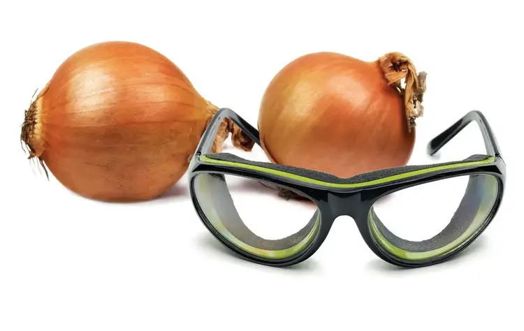 Black Onion Goggles