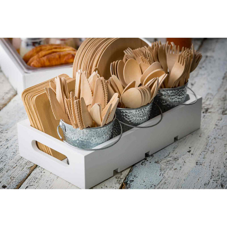 Compostable Spoons set of 25