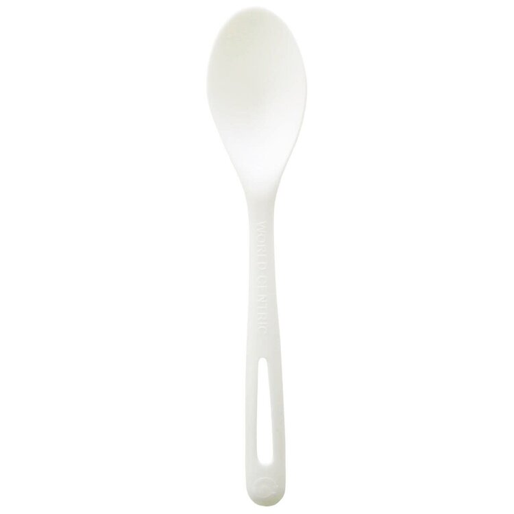 Compostable Spoons, set of 24