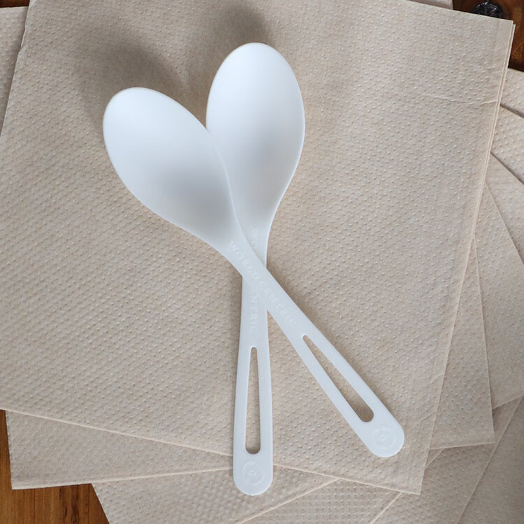 Compostable Spoons, set of 24