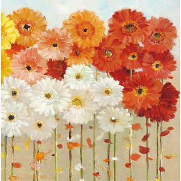 Daisy Cocktail Napkins, set of 20