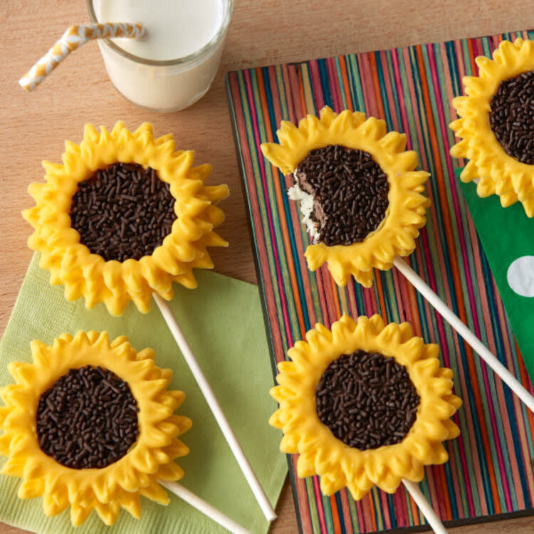 Wilton Lollipop Sticks, set of 50