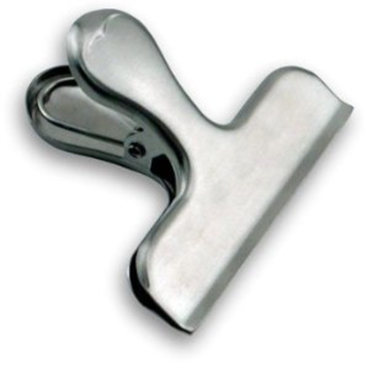 Small Stainless Steel Clip