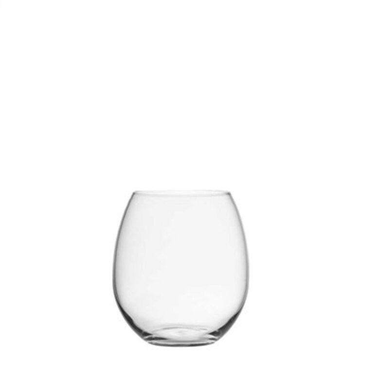 Plastic Stemless Wine Glass