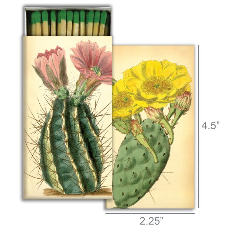 Flowering Cacti Matches