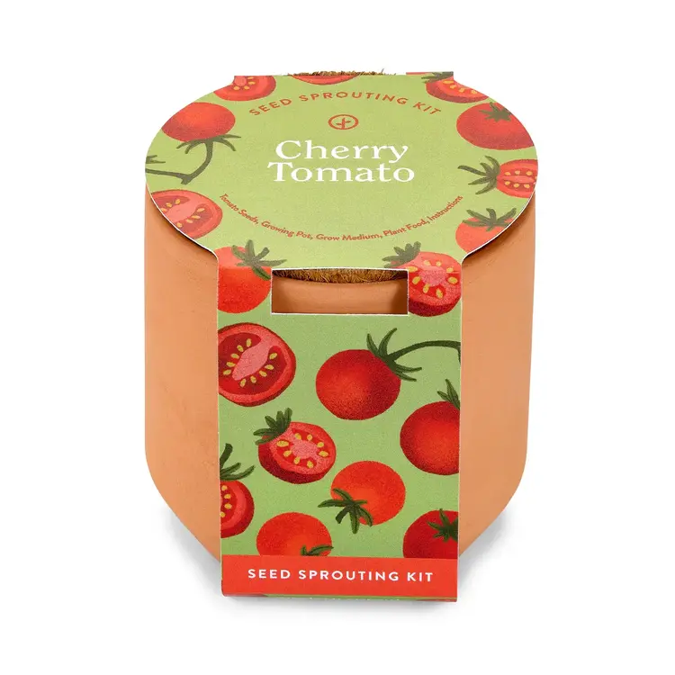 Terracotta Cherry Tomato Kit