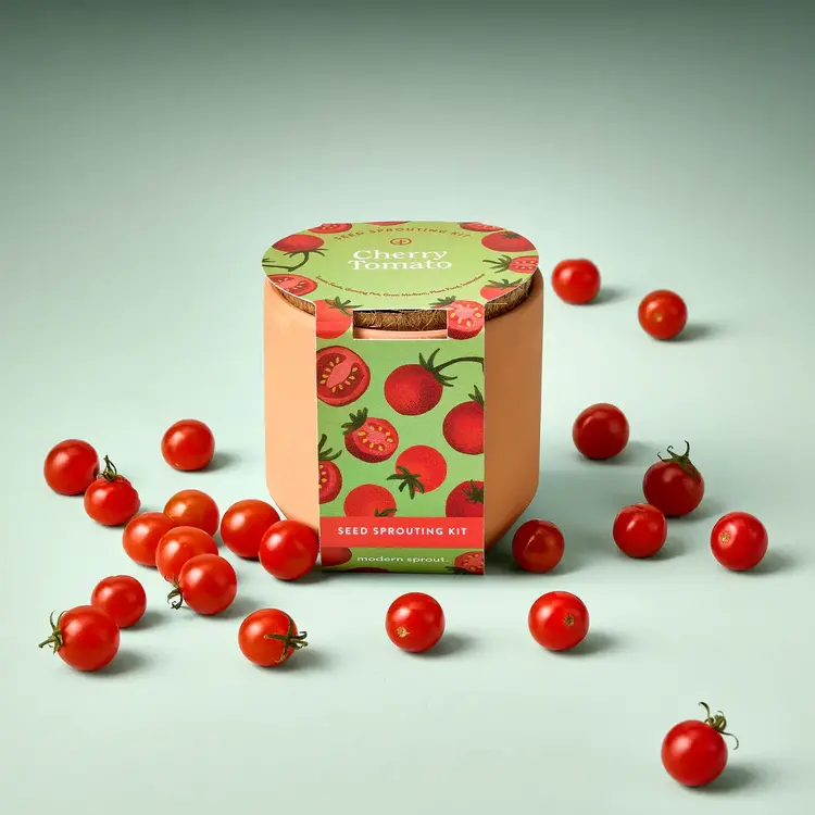 Terracotta Cherry Tomato Kit